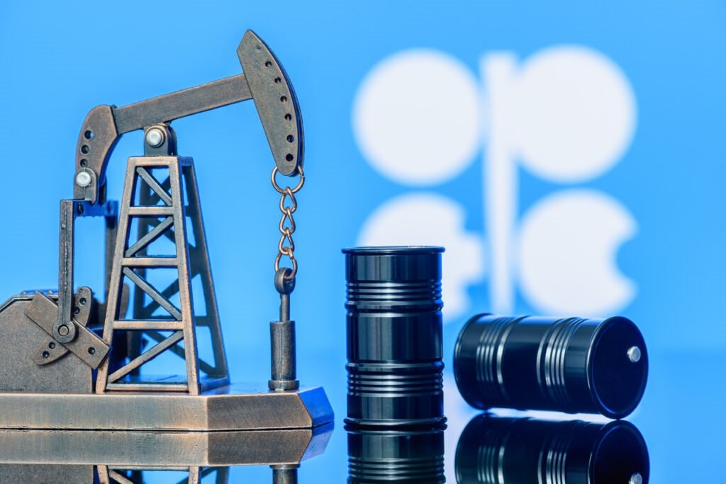 opec-2-1024x683-1734524529338-1734524529751376566015.jpg