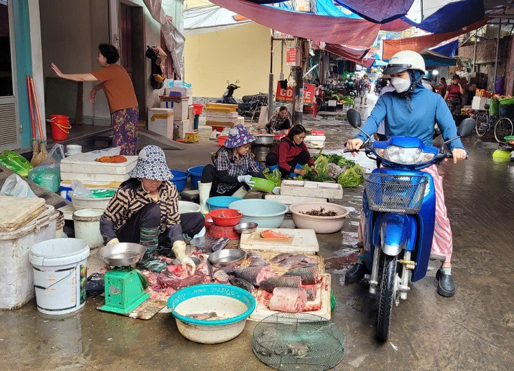 Từng có giá lên tới nửa triệu đồng/kg, “đặc sản trời cho” bất ngờ rẻ chưa từng có- Ảnh 2.