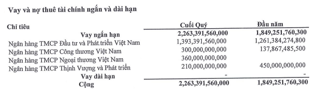 Công ty chứng khoán của vị Chủ tịch HĐQT sinh năm 1995 muốn vay ngân hàng hạn mức 700 tỷ để tập trung vào tự doanh- Ảnh 1.