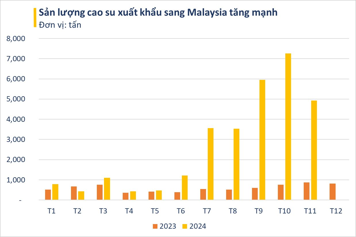 Việt Nam nắm giữ loại gỗ siêu quý được Malaysia ra sức săn lùng: xuất khẩu tăng 500%, diện tích trồng hơn 900.000 ha- Ảnh 3.