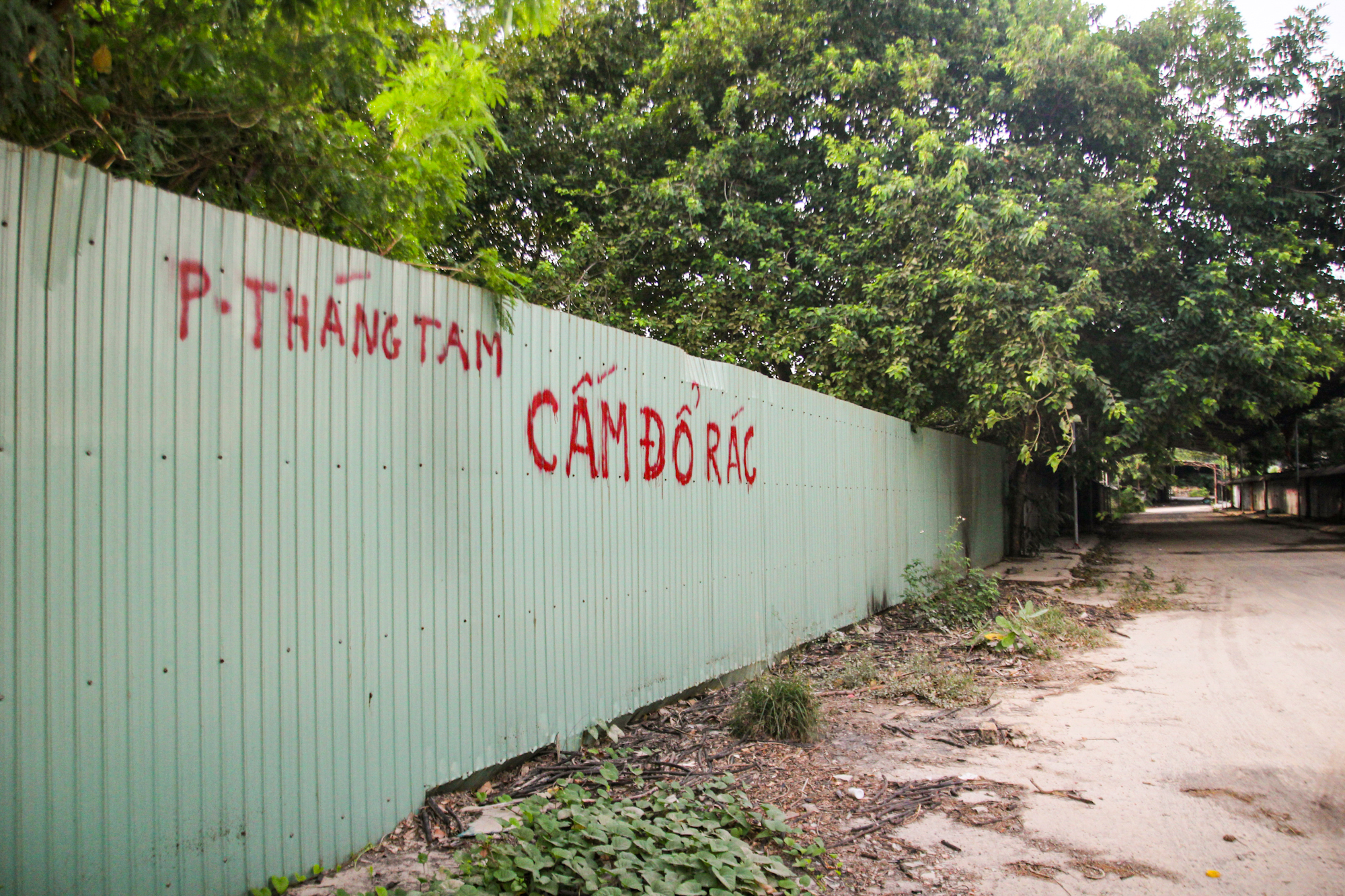 Cận cảnh khu "đất vàng" nằm cạnh bãi biển Vũng Tàu,
chuẩn bị đấu giá làm khu thương mại, dịch vụ du lịch cao cấp- Ảnh 7.