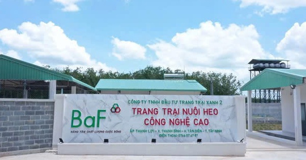 Baf Việt Nam bổ nhiệm thêm hai Phó Tổng Giám đốc mới