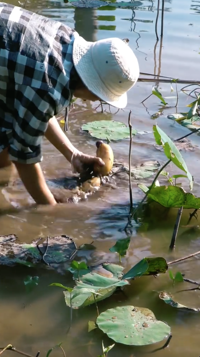 Hot TikToker bị tố 