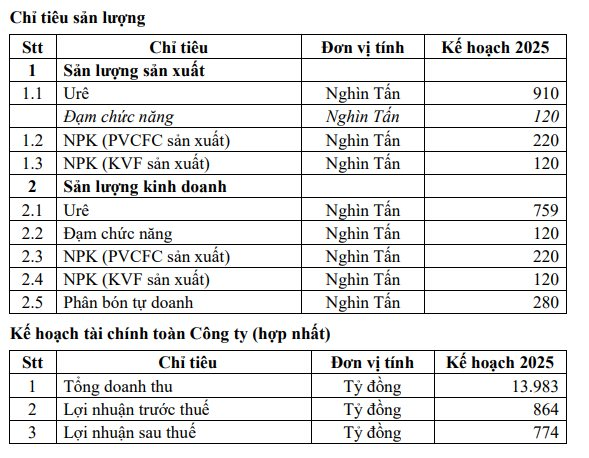 Đạm Cà Mau (DCM) lên kế hoạch lợi nhuận sau thuế sụt giảm trong năm 2025- Ảnh 1.