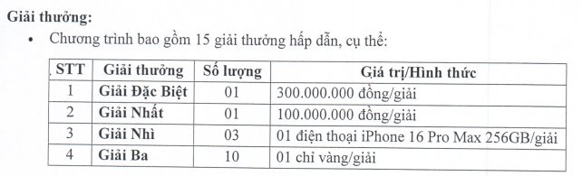 Sướng như cổ đông CII đi họp: Vừa được "ting ting" tiền mặt, vừa có thể trúng thêm 300 triệu, vàng, iPhone 16- Ảnh 1.