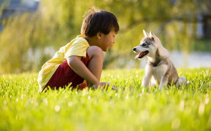 Giữa trời lạnh, người phụ nữ phát hiện bé gái có hành động lạ dưới sân chung cư, vừa thấy chị đến thì lập tức bỏ chạy- Ảnh 4.