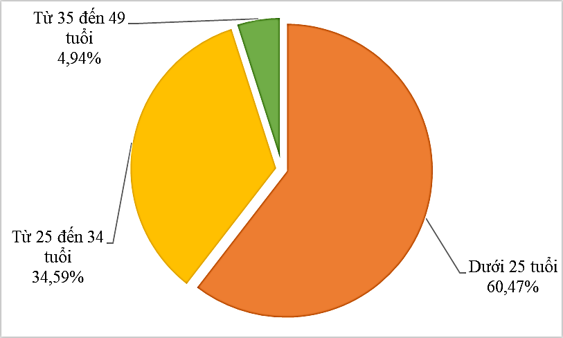 Năm 2025, lao động ở độ tuổi nào chiếm ưu thế tuyển dụng?- Ảnh 2.