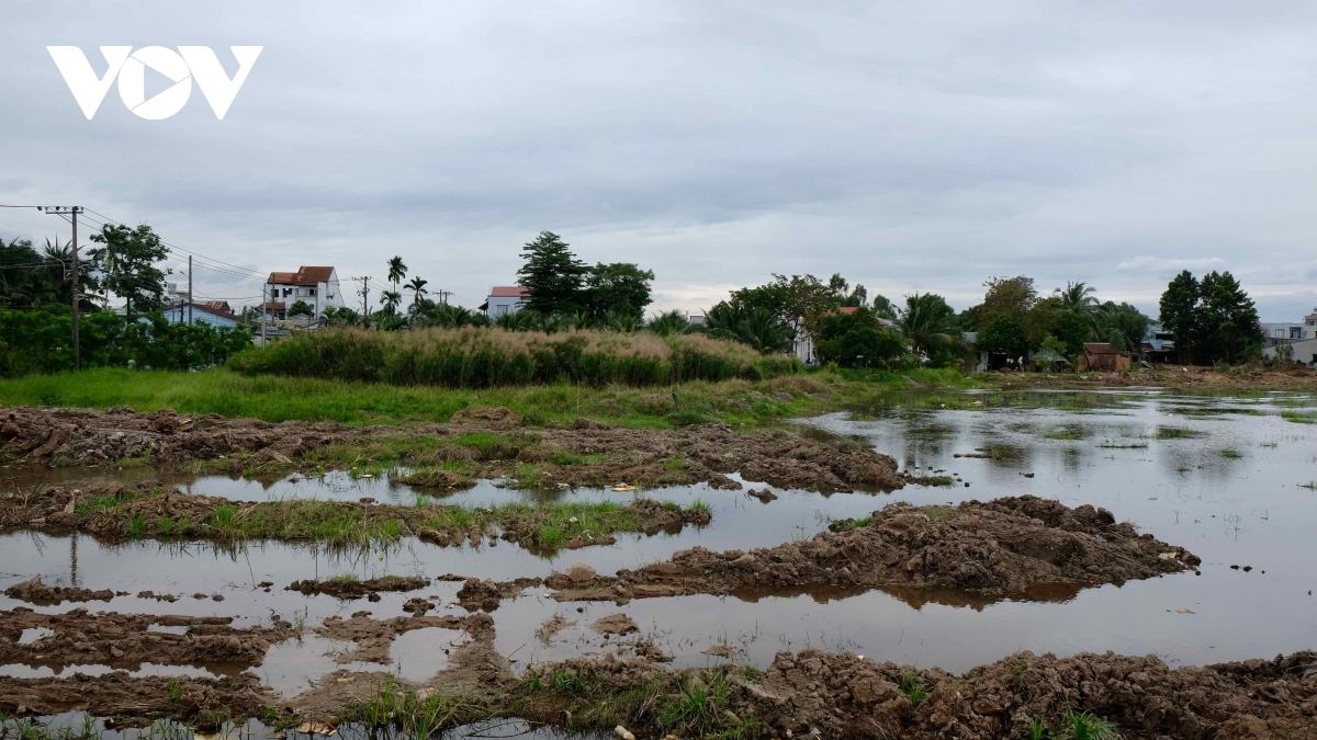 Cận cảnh khu vực thu hồi đất làm Khu đô thị Hiệp Hoà tại Đồng Nai- Ảnh 7.