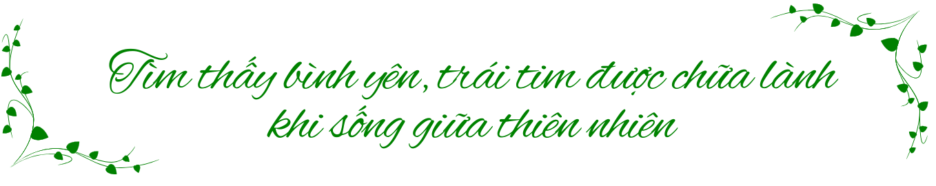 "Nữ hoàng cảnh nóng" cay đắng, bị bệnh tâm thần vì yêu, U50 tìm an yên, chữa lành trong nhà vườn 6000m2- Ảnh 5.