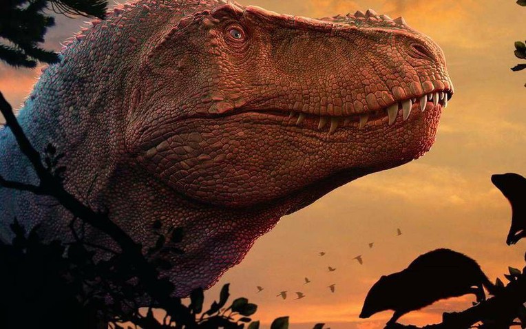 Hóa ra động vật có vú hiện đại bị 'mù màu' đều là do khủng long bạo chúa Tyrannosaurus rex?- Ảnh 1.