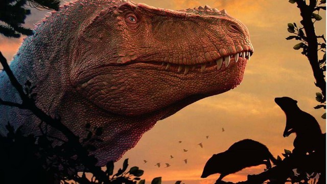 Hóa ra động vật có vú hiện đại bị 'mù màu' đều là do khủng long bạo chúa Tyrannosaurus rex?- Ảnh 3.