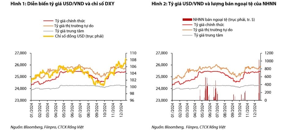 VDSC: NHNN đã bán ra khoảng 9,4 tỷ USD trong năm 2024 để ổn định tỷ giá, dự trữ ngoại hối còn khoảng 80 tỷ USD- Ảnh 2.