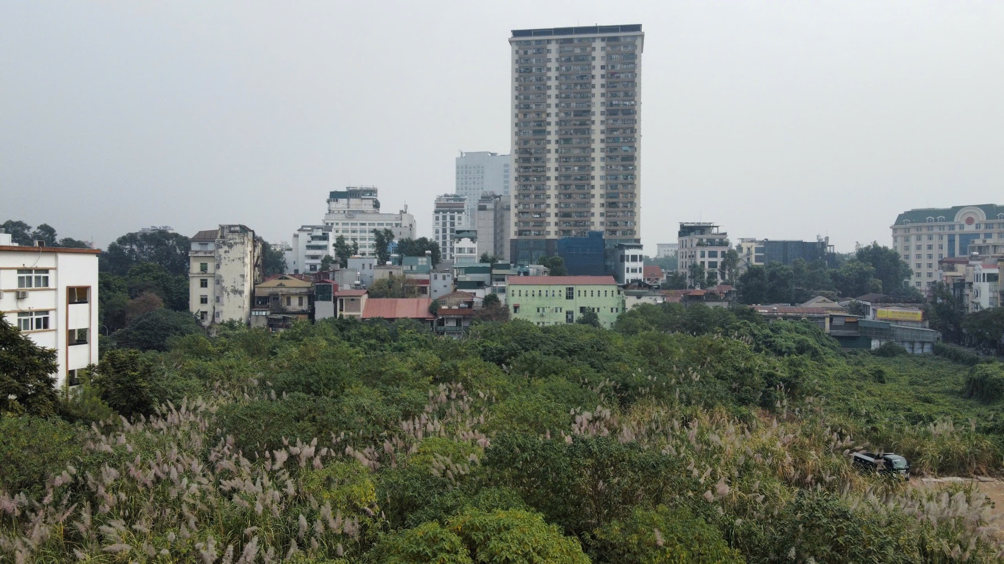 Cỏ dại mọc um tùm như 'rừng' trong khu đất vàng mà Hà Nội loại bỏ làm nhà ở- Ảnh 2.