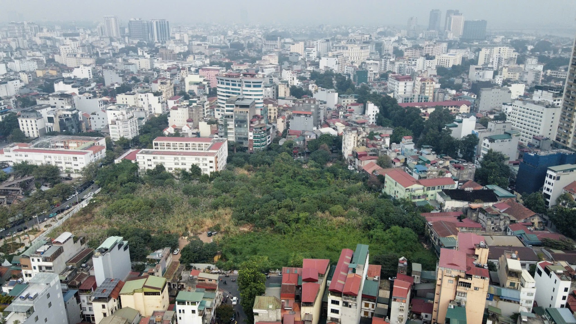 Cỏ dại mọc um tùm như 'rừng' trong khu đất vàng mà Hà Nội loại bỏ làm nhà ở- Ảnh 1.