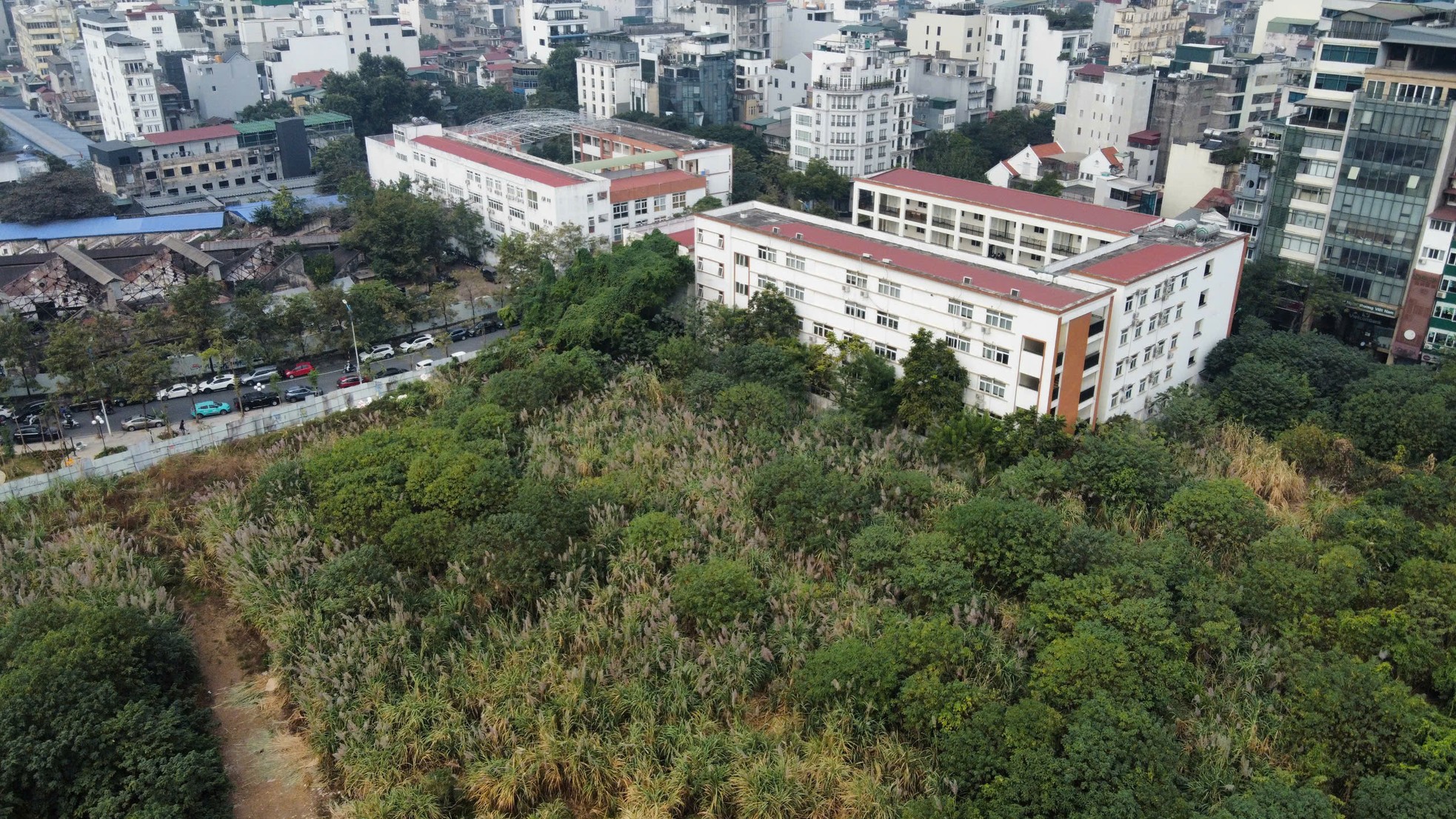 Cỏ dại mọc um tùm như 'rừng' trong khu đất vàng mà Hà Nội loại bỏ làm nhà ở- Ảnh 11.