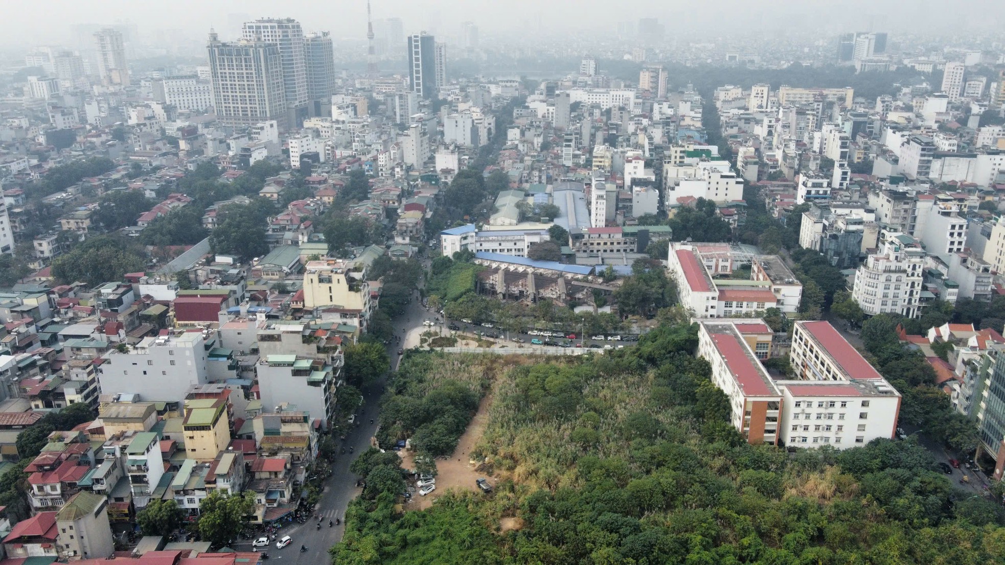 Cỏ dại mọc um tùm như 'rừng' trong khu đất vàng mà Hà Nội loại bỏ làm nhà ở- Ảnh 4.