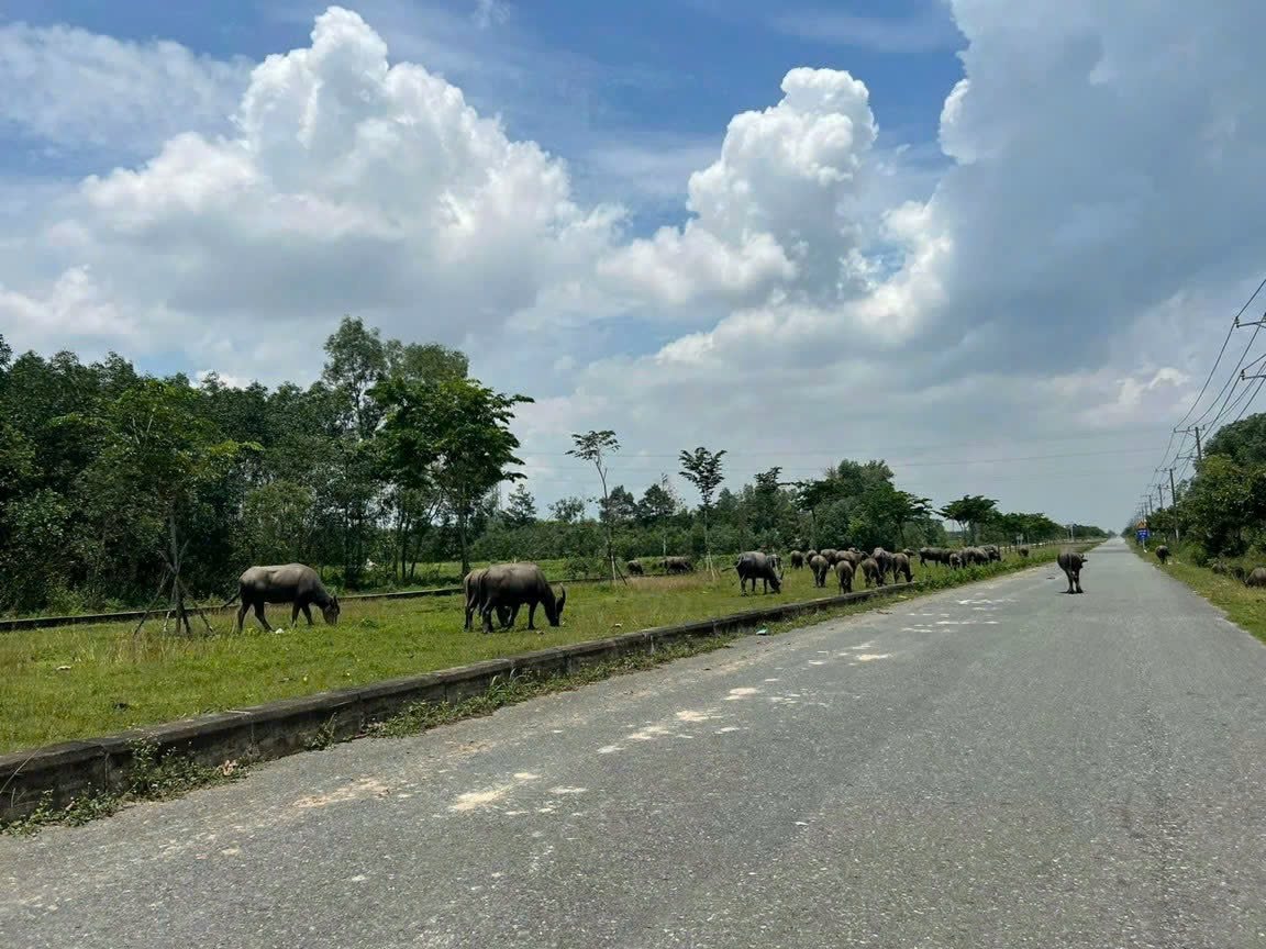 Trung Tâm đô thị mới Nhơn Trạch (Đồng Nai) sau hơn 30 năm hình thành vẫn “dậm chân tại chỗ”- Ảnh 5.