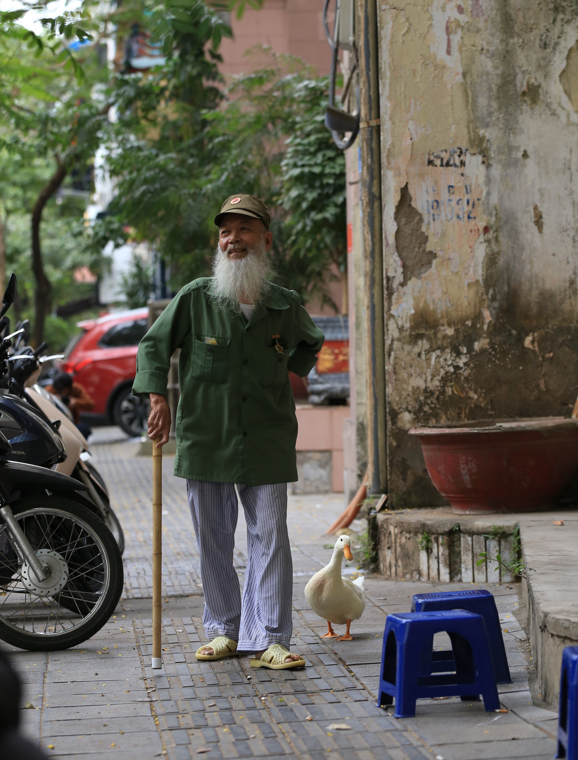 Cụ ông 61 tuổi ở Hà Nội nuôi vịt làm thú cưng: 