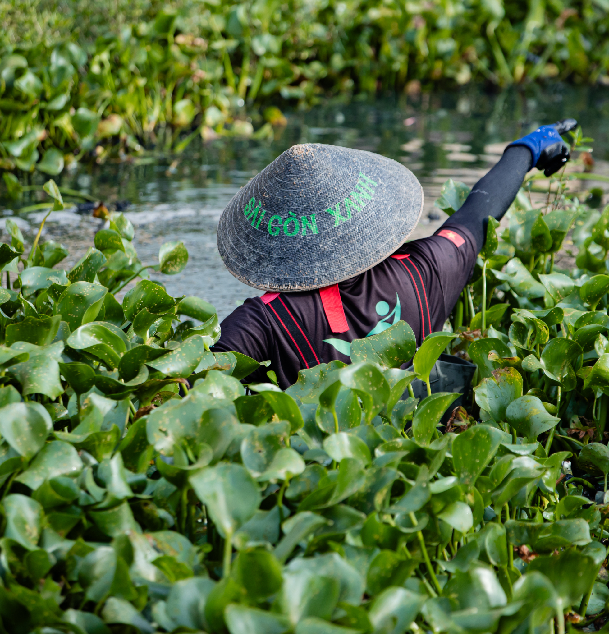 Sài Gòn Xanh - Những người trẻ đồng lòng đi dọn rác: “Một người thay đổi ý thức bằng 10, 100 lần một chiếc máy xúc rác”- Ảnh 6.