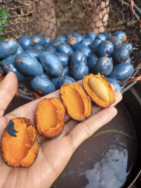 Cọ ỏm: Món ngon thấm đẫm hương quê của người dân đất Tổ- Ảnh 8. Cọ ỏm: Món ngon thấm đẫm hương quê của người dân đất Tổ- Ảnh 8.