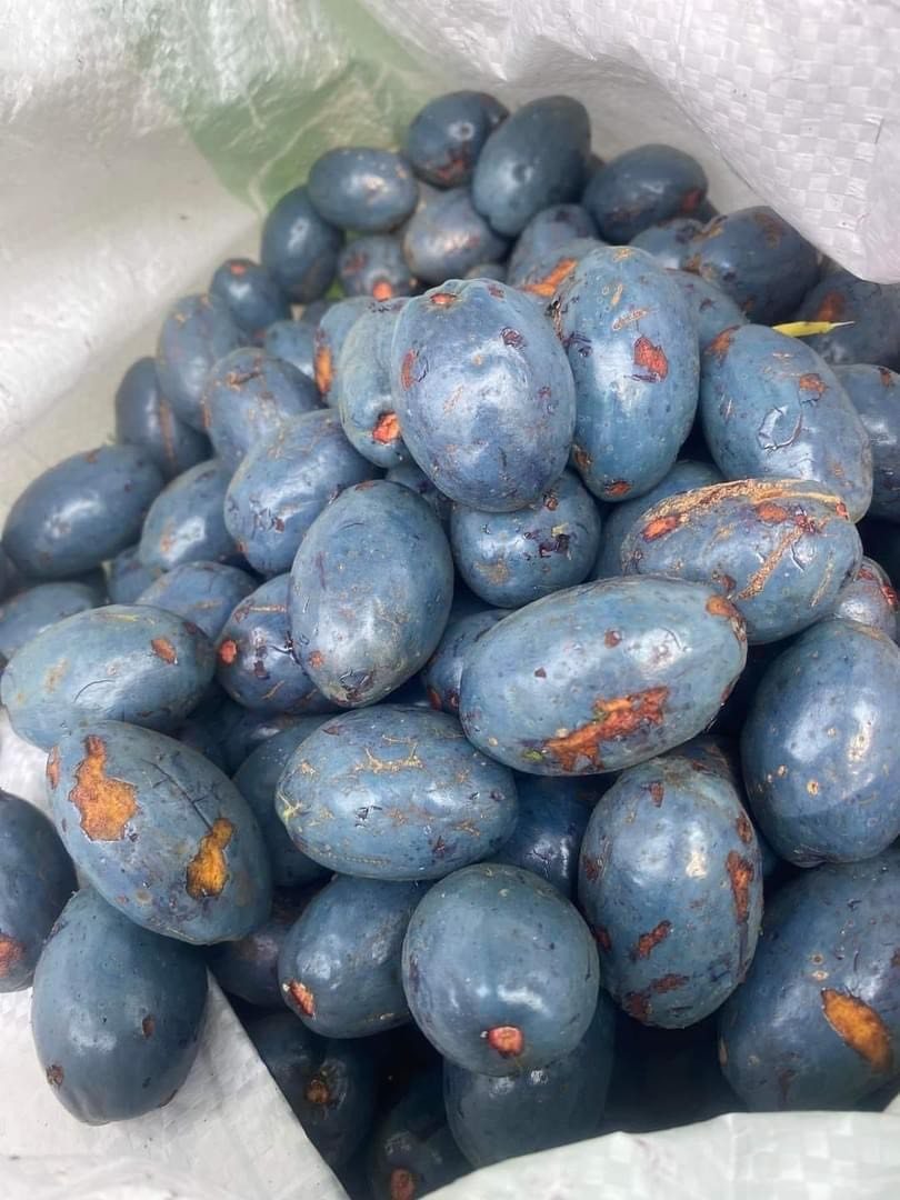 Cọ ỏm: Món ngon thấm đẫm hương quê của người dân đất Tổ- Ảnh 5. Cọ ỏm: Món ngon thấm đẫm hương quê của người dân đất Tổ- Ảnh 5.