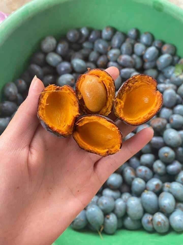 Cọ ỏm: Món ngon thấm đẫm hương quê của người dân đất Tổ- Ảnh 9. Cọ ỏm: Món ngon thấm đẫm hương quê của người dân đất Tổ- Ảnh 9.