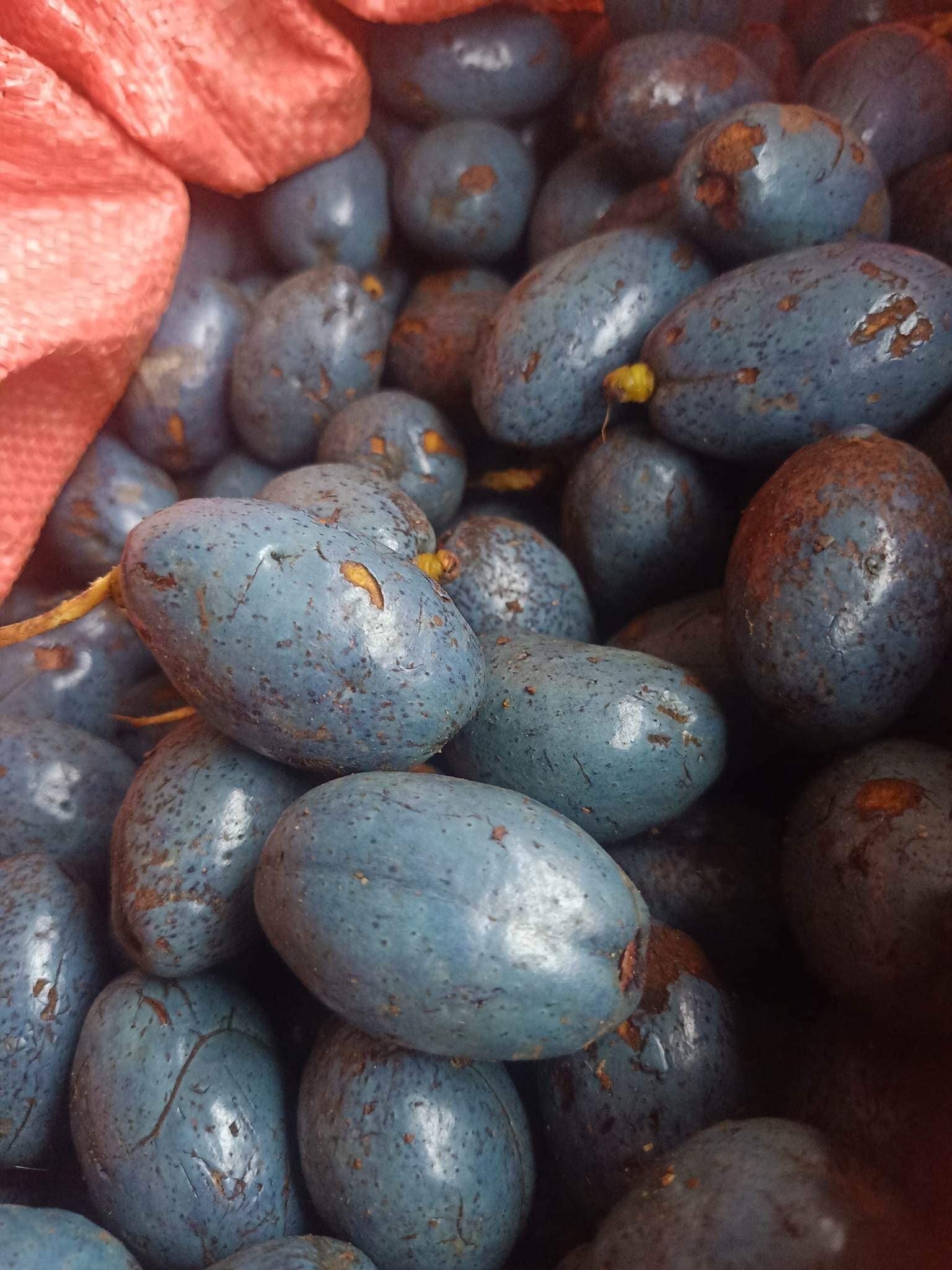 Cọ ỏm: Món ngon thấm đẫm hương quê của người dân đất Tổ- Ảnh 7. Cọ ỏm: Món ngon thấm đẫm hương quê của người dân đất Tổ- Ảnh 7.