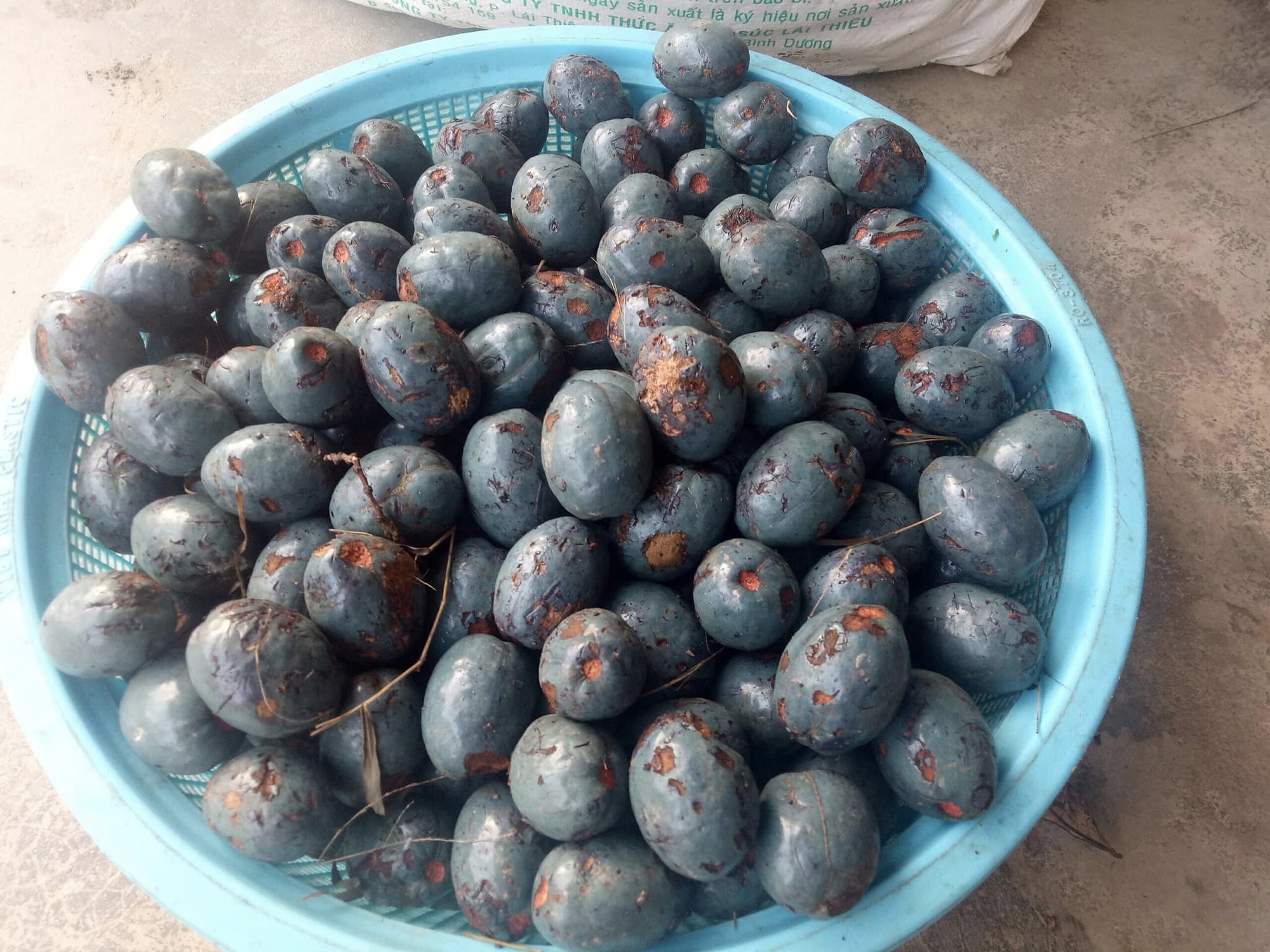 Cọ ỏm: Món ngon thấm đẫm hương quê của người dân đất Tổ- Ảnh 3. Cọ ỏm: Món ngon thấm đẫm hương quê của người dân đất Tổ- Ảnh 3.