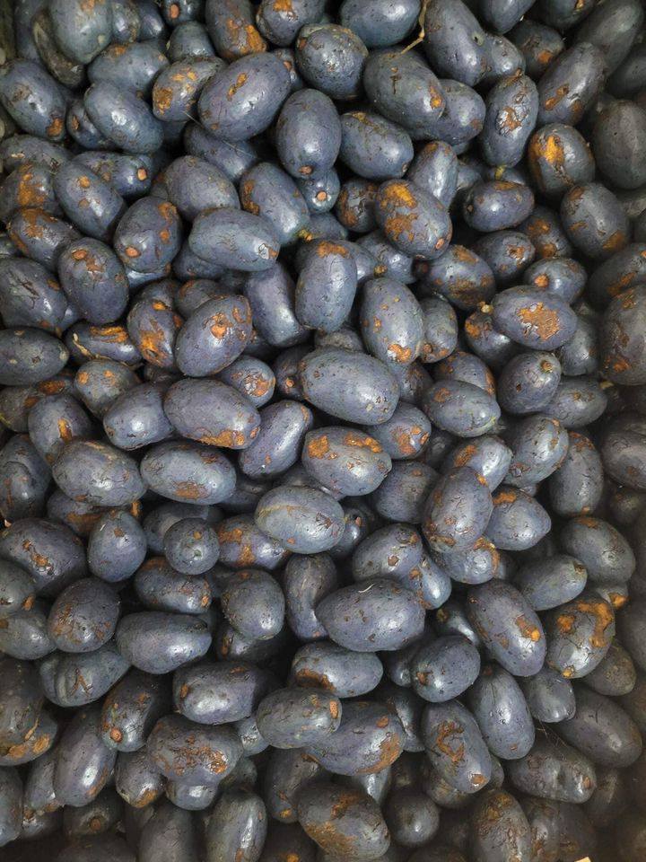 Cọ ỏm: Món ngon thấm đẫm hương quê của người dân đất Tổ- Ảnh 4. Cọ ỏm: Món ngon thấm đẫm hương quê của người dân đất Tổ- Ảnh 4.