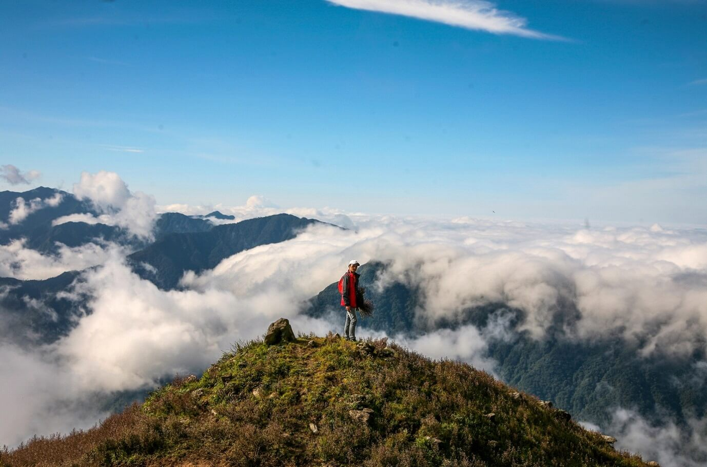 Thiên đường mây tím ở độ cao 3000m hút hàng nghìn người tới check-in: Top 7 ngọn núi cao nhất Việt Nam, chỉ cách Hà Nội 250km, dân mê trekking cực mê mẩn- Ảnh 3.