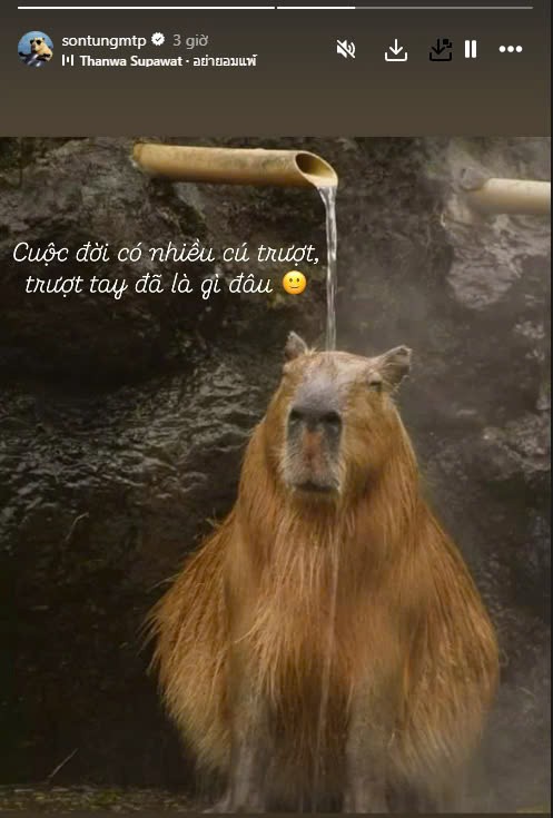 Sơn Tùng lại gây náo loạn- Ảnh 1.