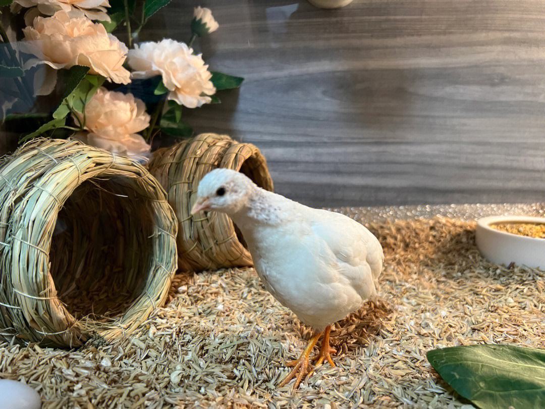 Hội mẹ bỉm khoe Hội mẹ bỉm khoe