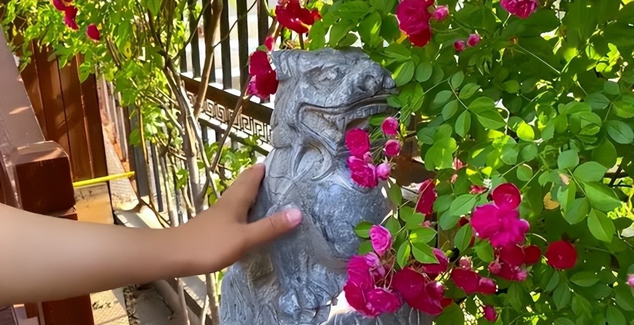 Người phụ nữ trung niên chi gần 200 triệu đồng xây khoảng sân rộng 38m2 chỉ để trồng hoa và rau- Ảnh 4. Người phụ nữ trung niên chi gần 200 triệu đồng xây khoảng sân rộng 38m2 chỉ để trồng hoa và rau- Ảnh 4.