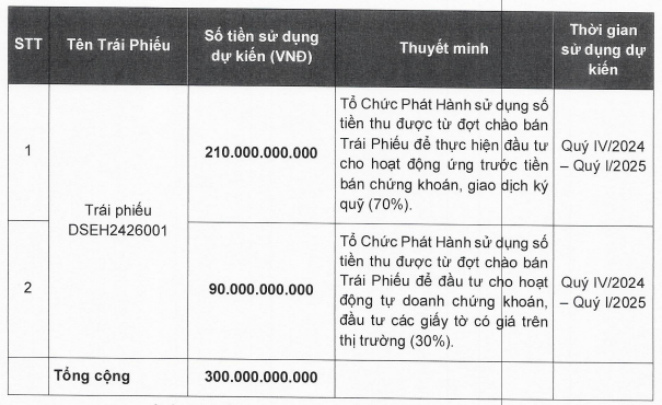 Chứng khoán DNSE lùi thời gian chào bán 300 tỷ đồng trái phiếu- Ảnh 1.