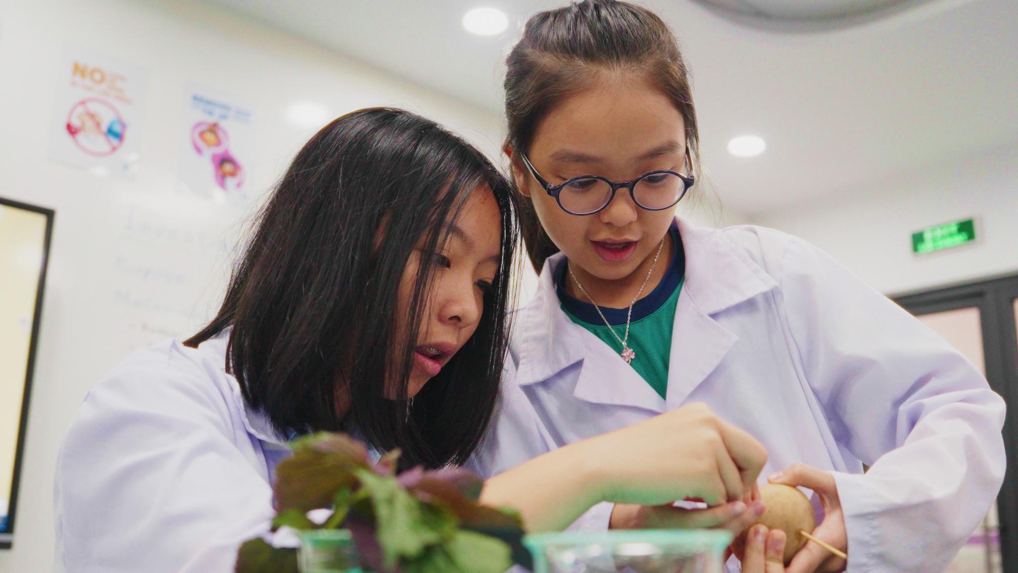 Trường Quốc tế Westlink triển khai Học Bổng Song Ngữ THCS năm học 2025-2026- Ảnh 1. Trường Quốc tế Westlink triển khai Học Bổng Song Ngữ THCS năm học 2025-2026- Ảnh 1.