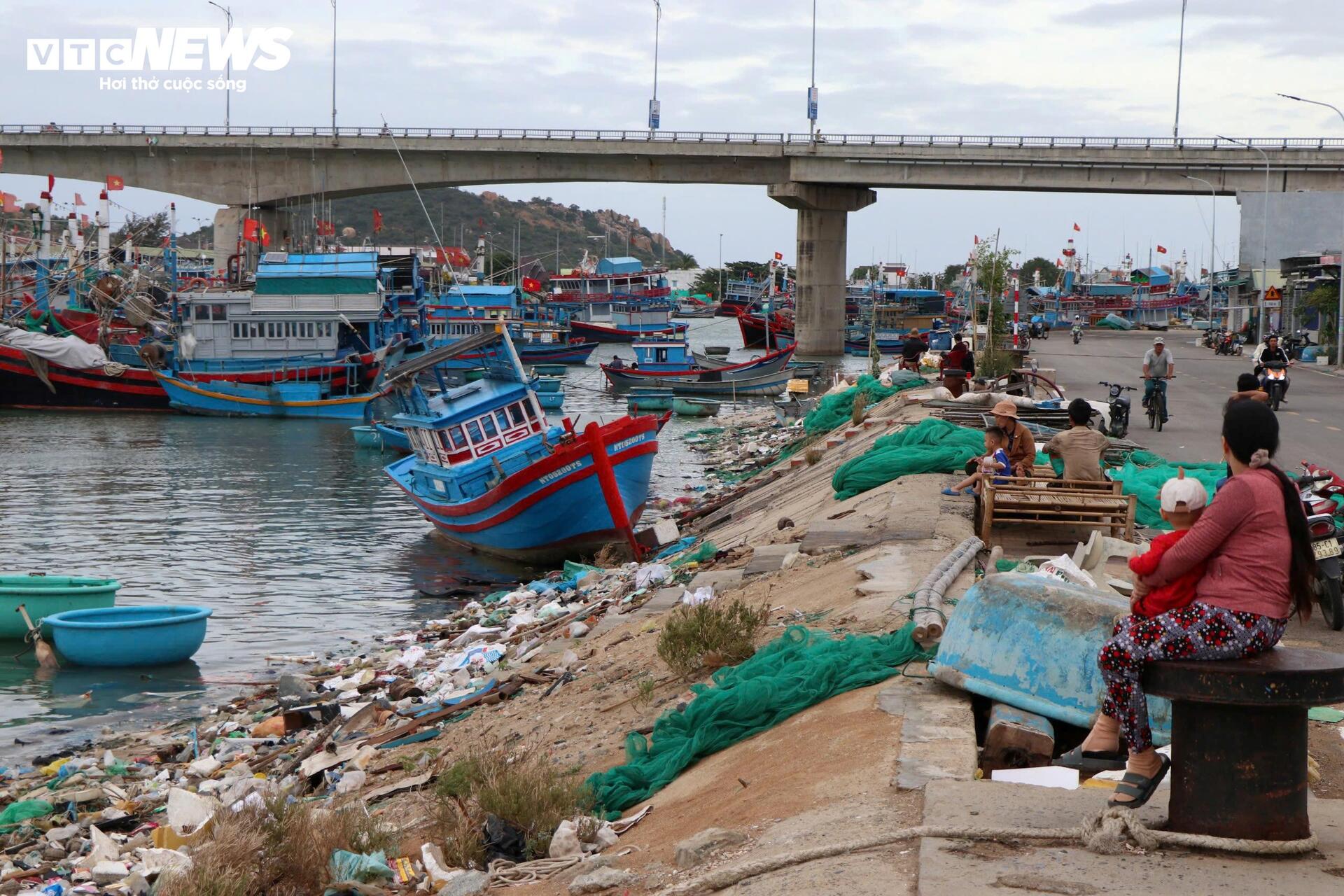 Rác thải nhựa, vỏ hàu bủa vây Đầm Nại ở Ninh Thuận- Ảnh 3.