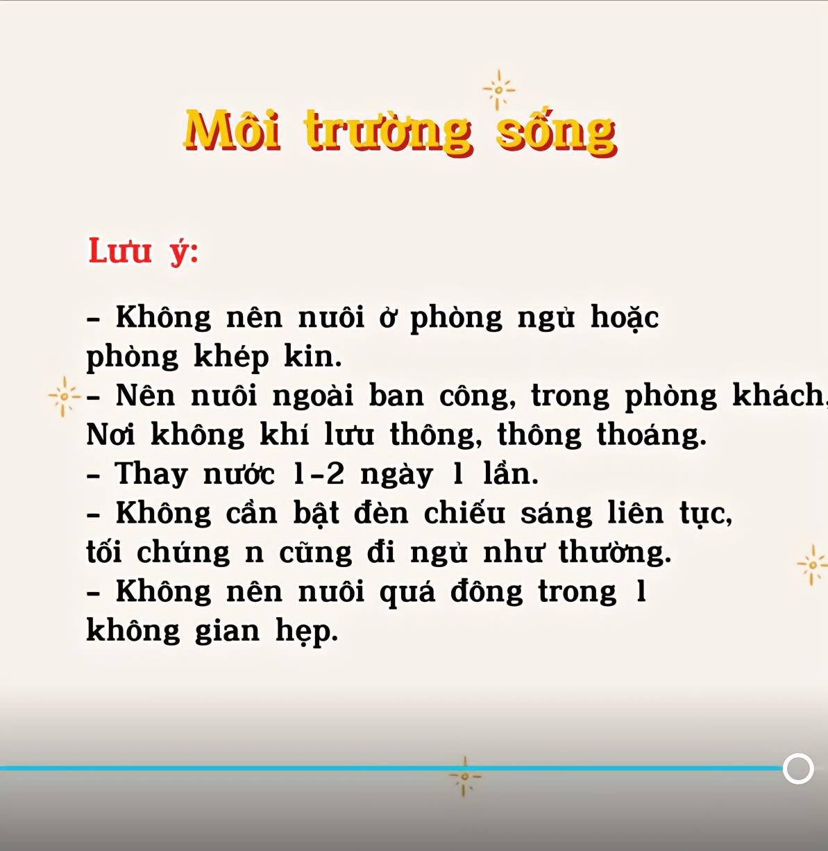 Hội mẹ bỉm khoe Hội mẹ bỉm khoe
