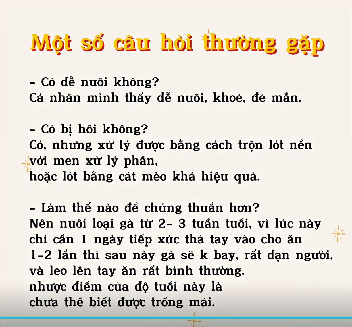 Hội mẹ bỉm khoe Hội mẹ bỉm khoe