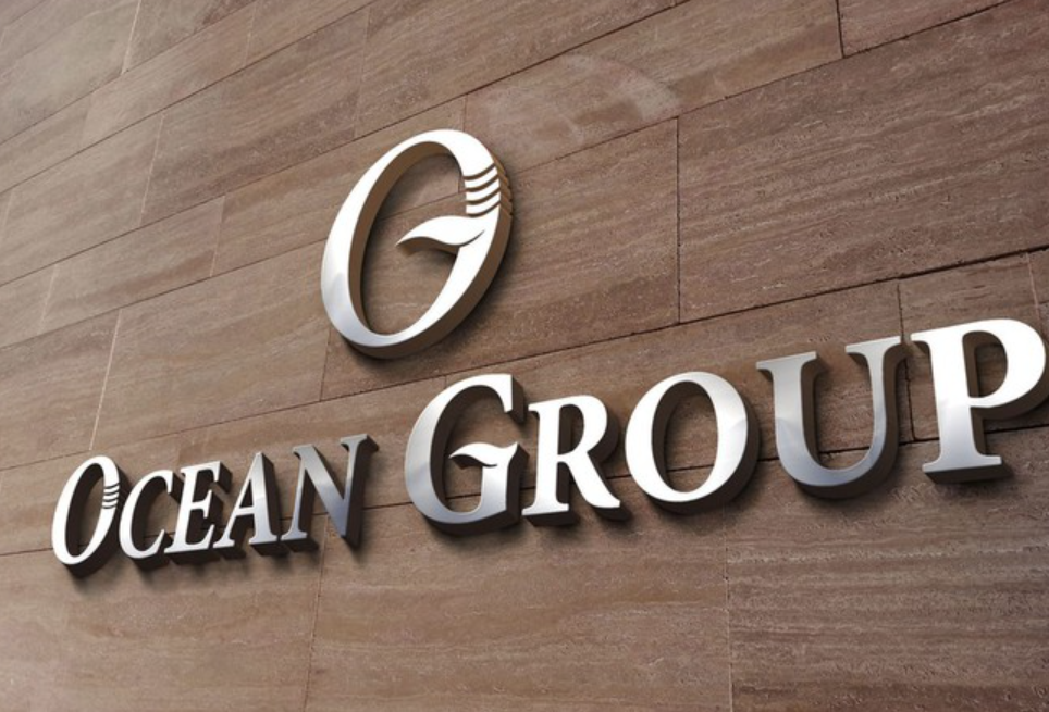 Ocean Group miễn nhiệm Tổng Giám đốc- Ảnh 1.