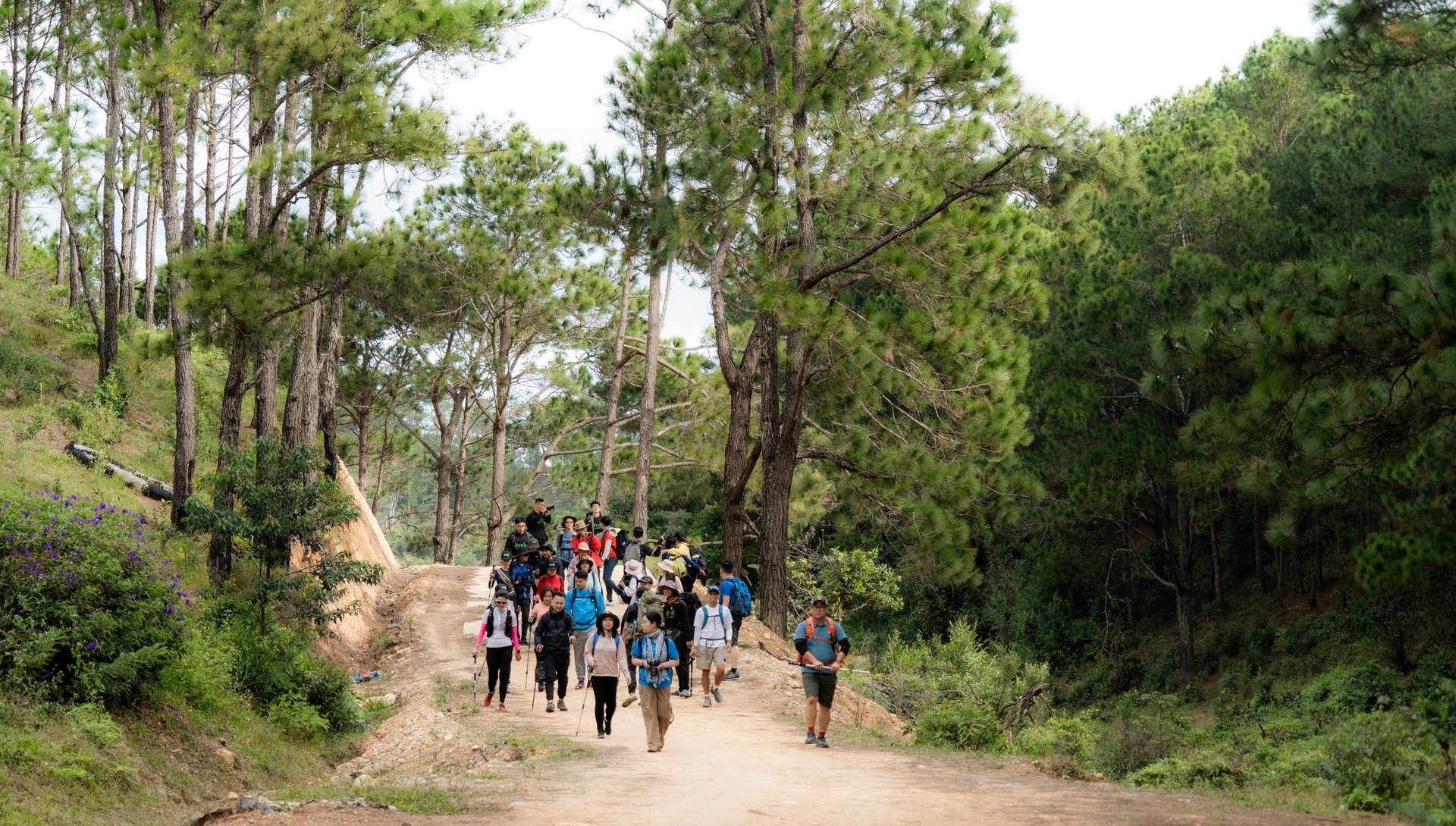 Trải nghiệm cung đường trekking đẹp nhất Việt Nam mùa cỏ cháy- Ảnh 2. Trải nghiệm cung đường trekking đẹp nhất Việt Nam mùa cỏ cháy- Ảnh 2.