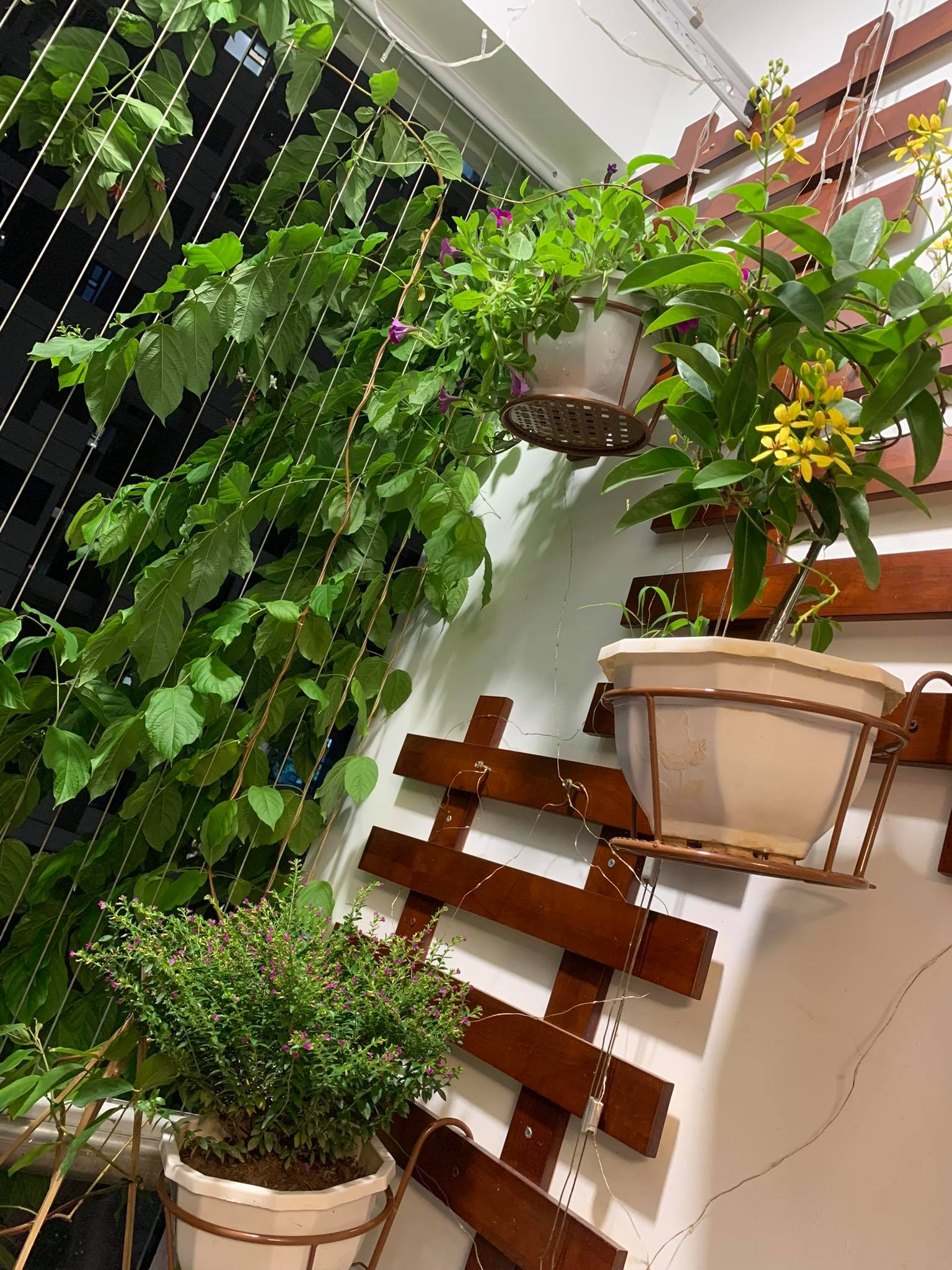 Đi thuê 6-7 triệu/ tháng dù sẵn nhà Hà Nội, cô gái khiến bố mẹ thay đổi suy nghĩ vì sau 3 năm có được 1 thứ- Ảnh 3.