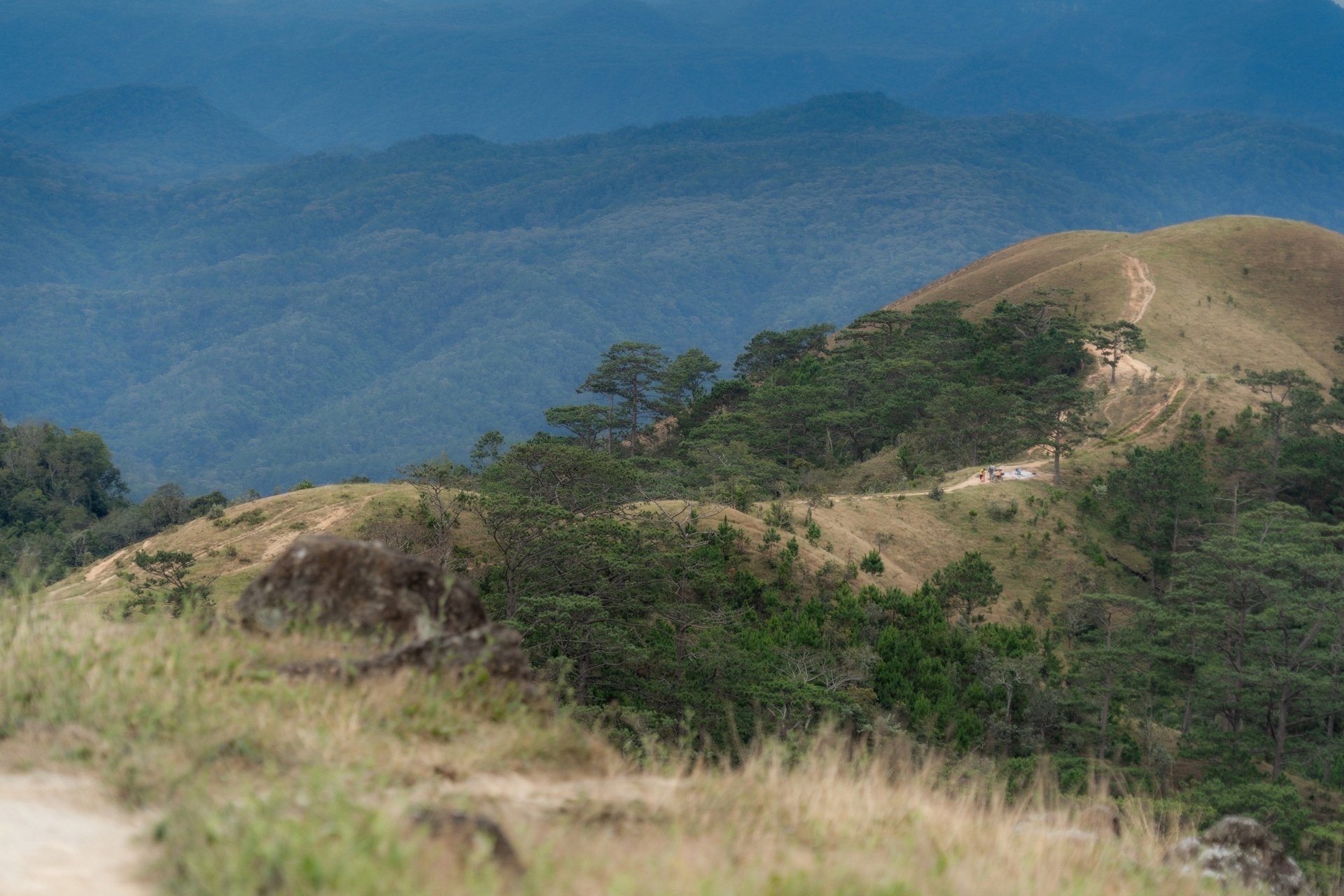 Trải nghiệm cung đường trekking đẹp nhất Việt Nam mùa cỏ cháy- Ảnh 1. Trải nghiệm cung đường trekking đẹp nhất Việt Nam mùa cỏ cháy- Ảnh 1.
