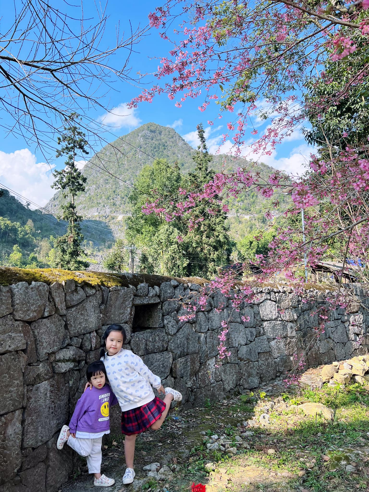 Chuyến đi khó quên của gia đình nhỏ ở Hà Giang, trẻ nhỏ mê mệt, ngắm hoa đào, hoa mận rợp trời- Ảnh 12.