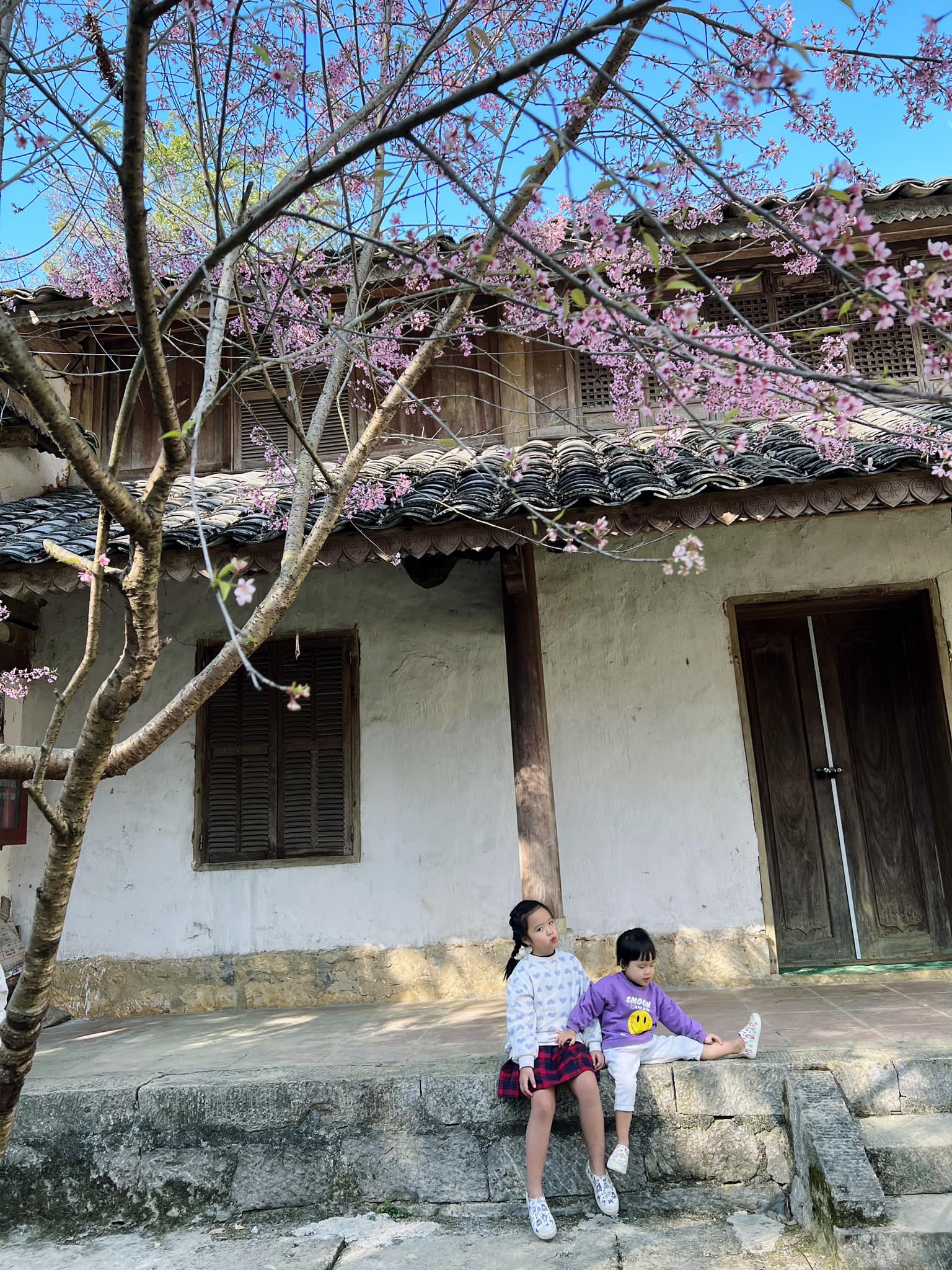 Chuyến đi khó quên của gia đình nhỏ ở Hà Giang, trẻ nhỏ mê mệt, ngắm hoa đào, hoa mận rợp trời- Ảnh 13.