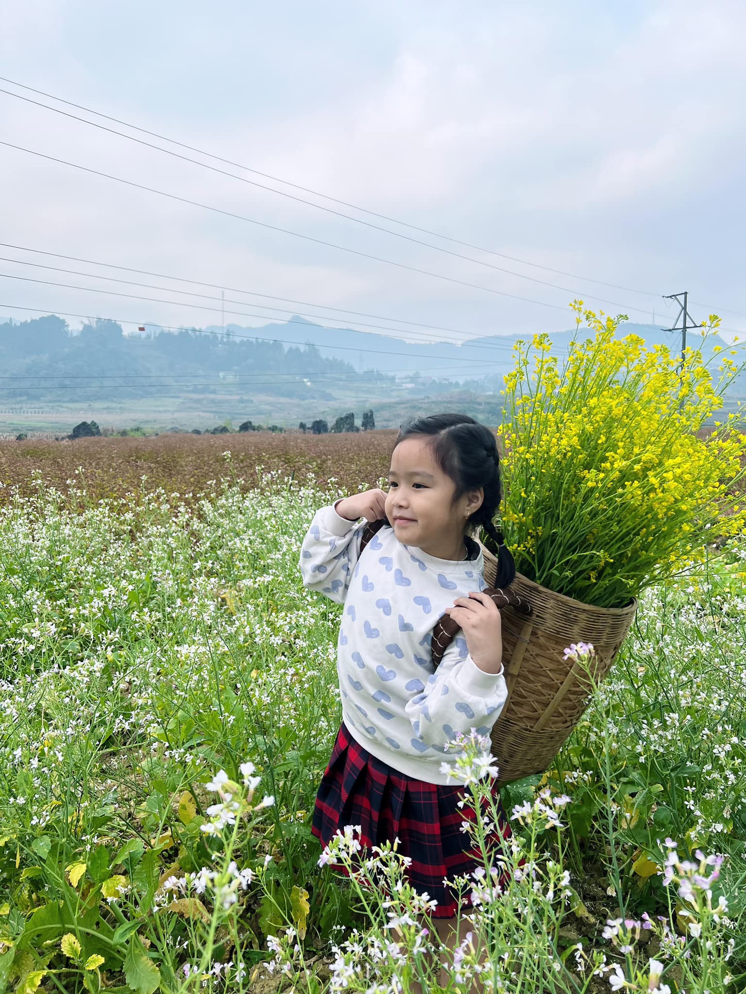 Chuyến đi khó quên của gia đình nhỏ ở Hà Giang, trẻ nhỏ mê mệt, ngắm hoa đào, hoa mận rợp trời- Ảnh 6.