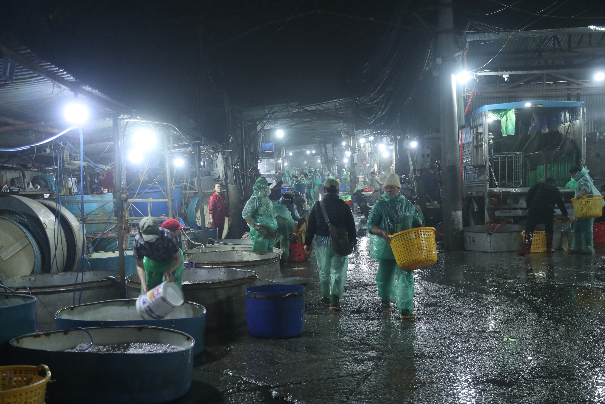 Chợ đầu mối Yên Sở là nơi cung cấp cá chép vàng lớn nhất khu vực Hà Nội