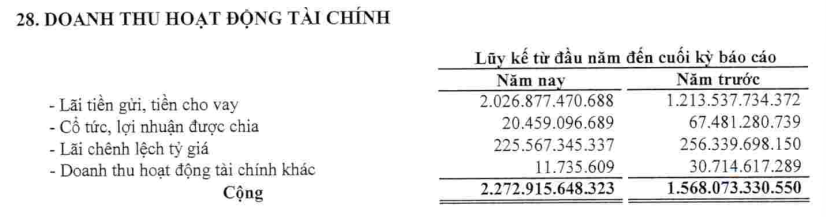 Nghịch lý nhà giàu: DN sở hữu 1,7 tỷ USD &quot;tiền tươi&quot;, nhiều nhất sàn chứng khoán Việt báo lãi giảm - Ảnh 2.