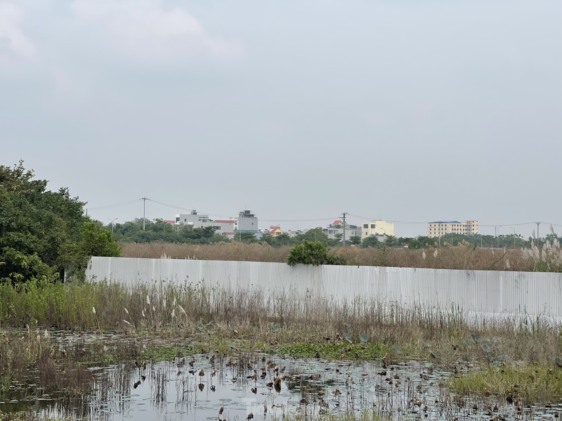 Hà Nội chuẩn bị thu hồi hơn 2.600ha đất nông nghiệp ở hai quận, huyện - Ảnh 8.