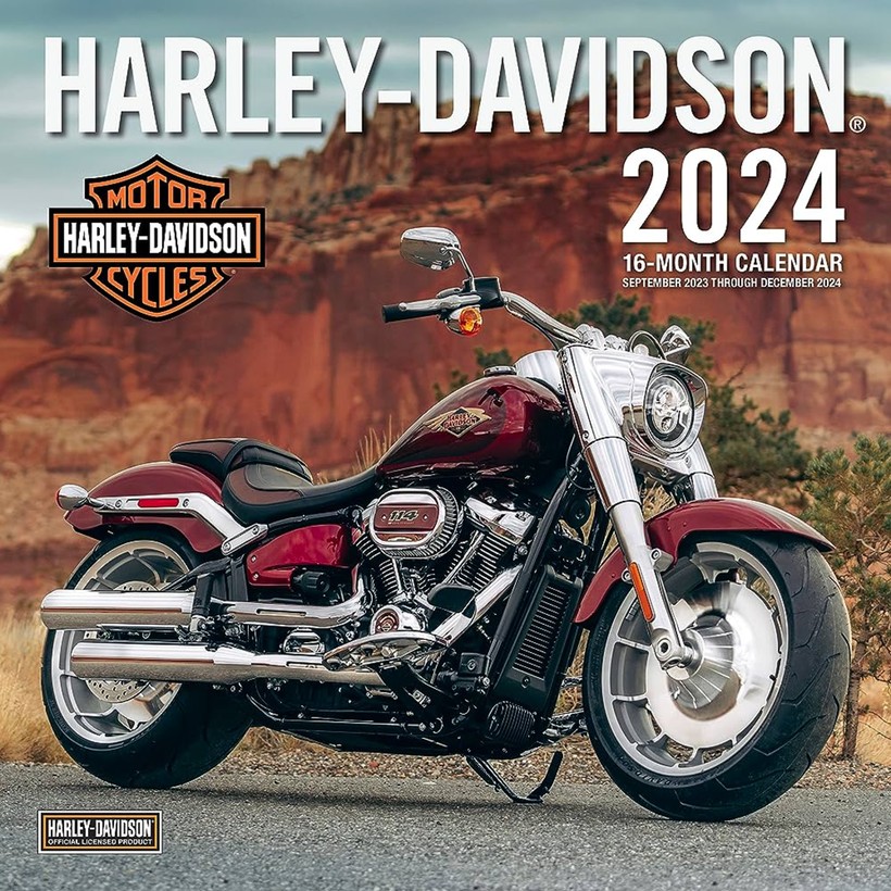 Lịch sử ra đời của mô tô Harley - Davidson- Ảnh 3.