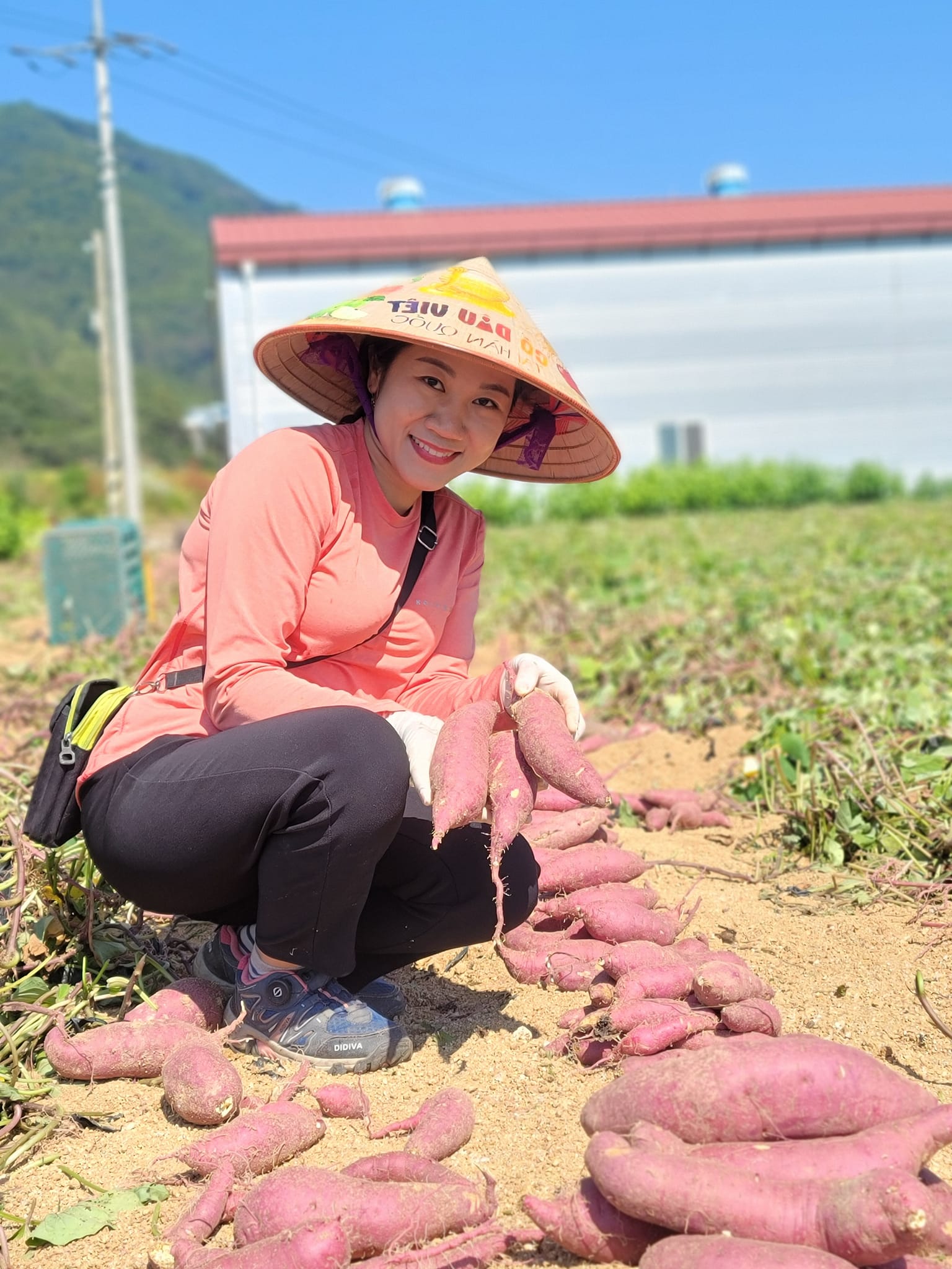 Được mai mối cho ông nông dân Hàn, không ngờ chồng là “địa chủ”, 15 năm sau thành bà trùm nông sản- Ảnh 15.